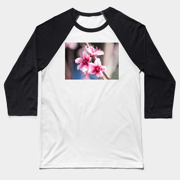 Blossoms Baseball T-Shirt by Jacquelie